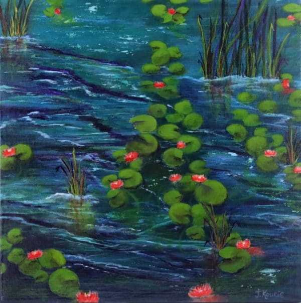 Fleurs De Nénuphars – Water Lily Flowers